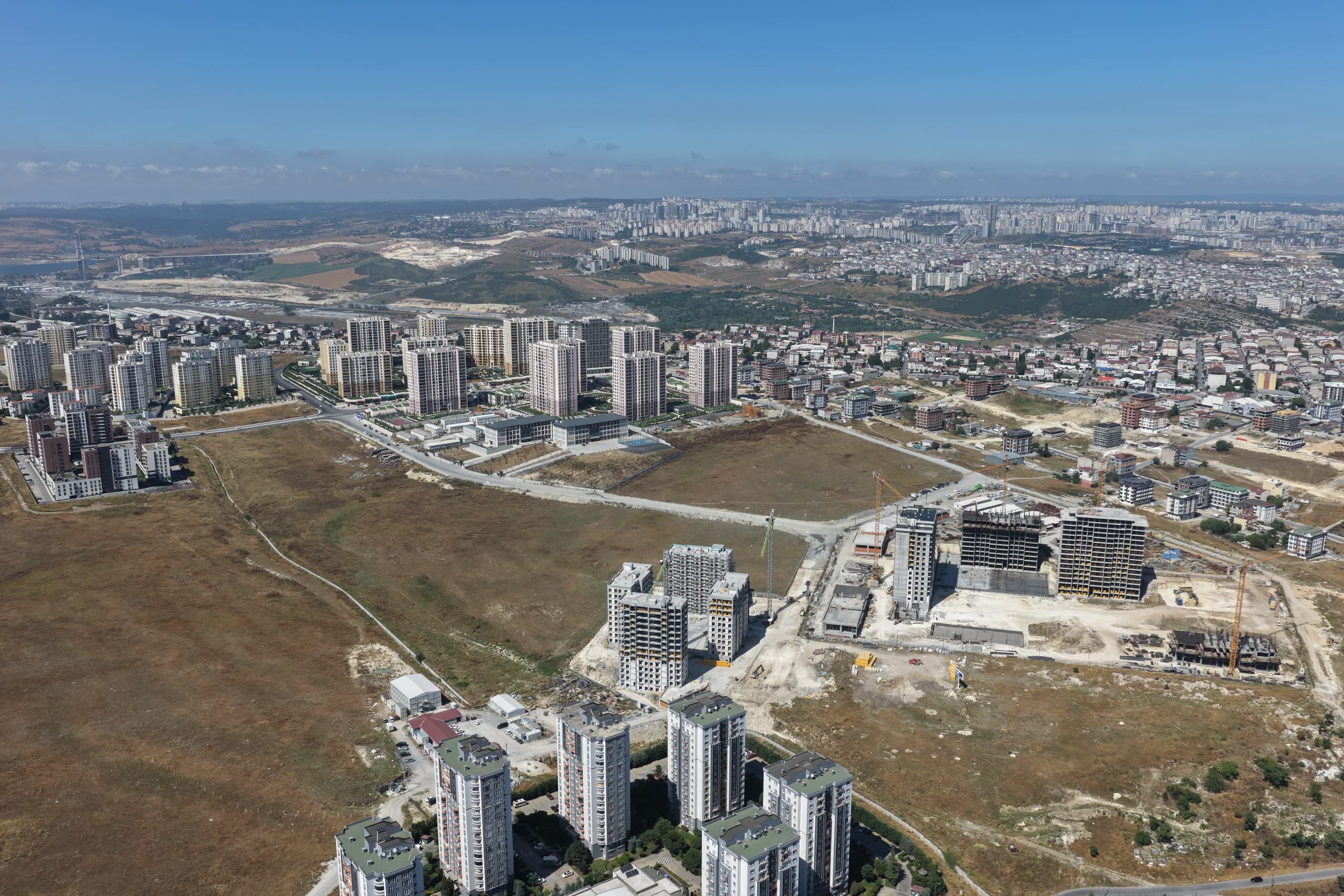 Olivium — view 12