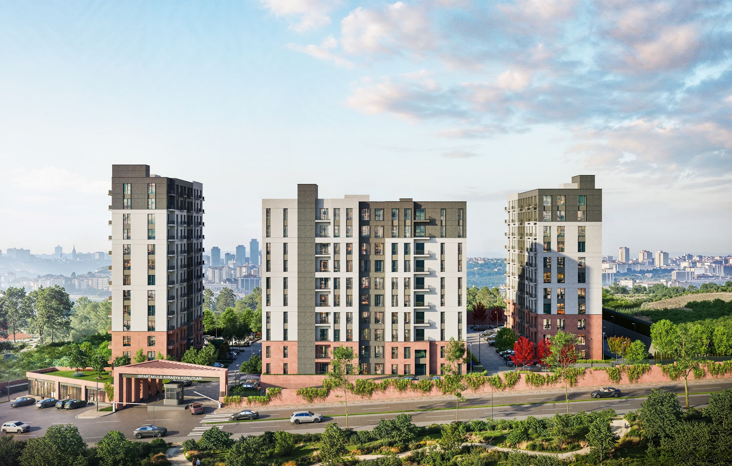 Olivium — view 31