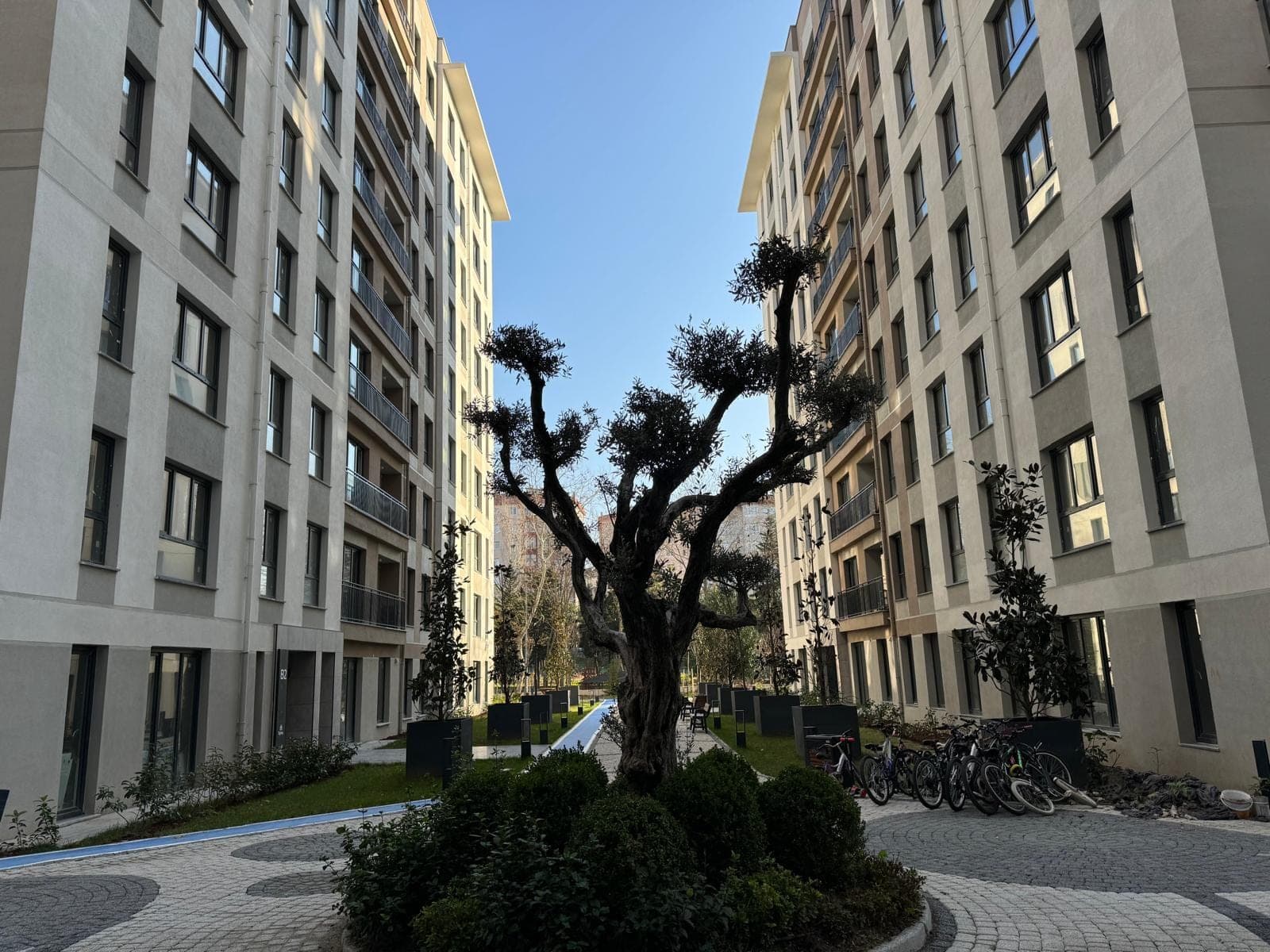 Park Garden Evleri — view 1