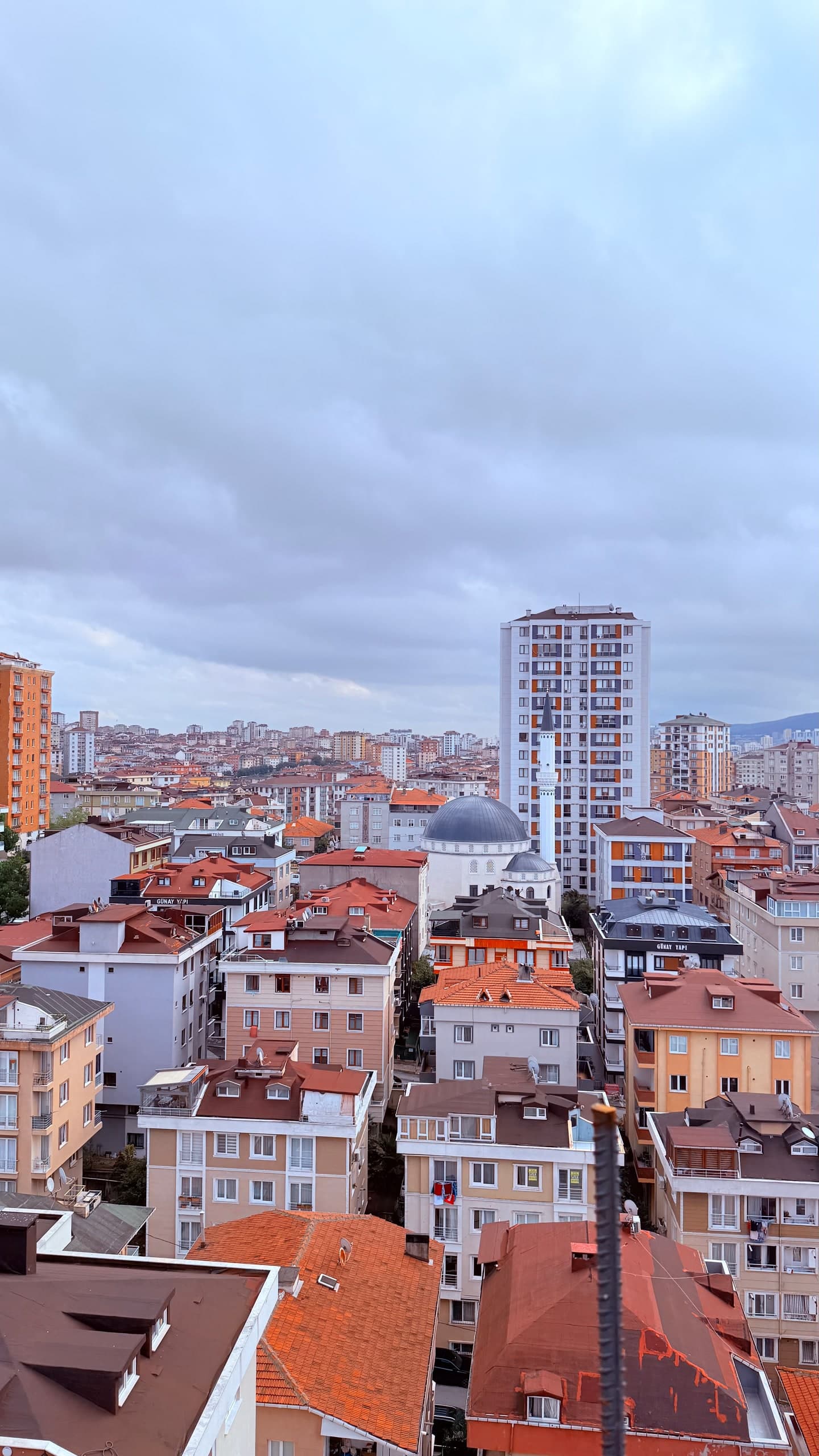Trading Kent — نما 22