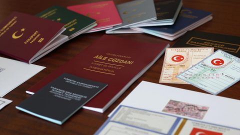 the Types of Turkish Citizenship