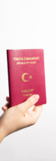 Turkish citizenship investment amount